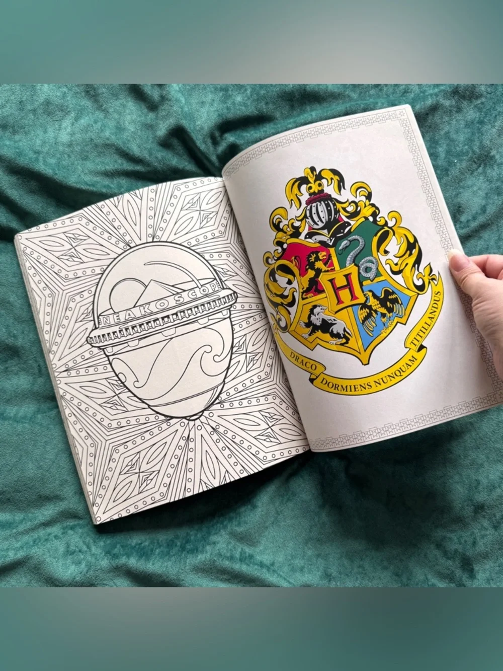 🖤5/$20 Harry Potter Coloring Book